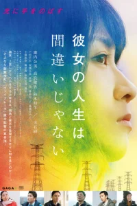 Её жизнь — не ошибка (2017)