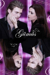 Серебро (2005)