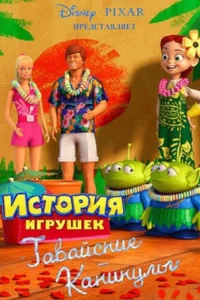 Гавайские каникулы (2011)