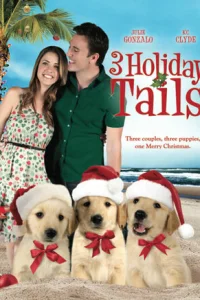 Три рождественские сказки (2011)