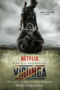 Вирунга (2014)