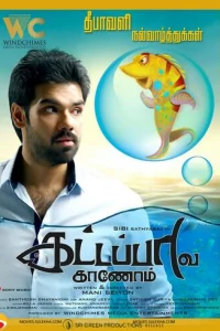 В поисках золотой рыбки (2017)